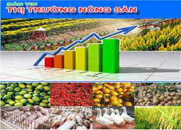 Bản tin thị trường Nông sản Tuần 44