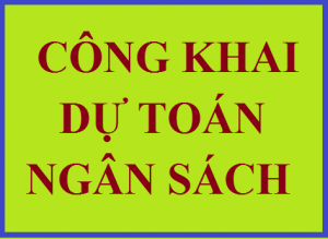 QUYẾT ĐỊNH Về việc công bố công khai tình hình thực hiện Dự toán NSNN 06 tháng cuối năm 2021 của Chi cục Quản lý chất lượng Nông lâm sản và Thủy sản Bình Định